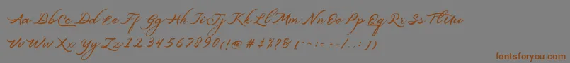 Шрифт Belgiansignature – коричневые шрифты на сером фоне