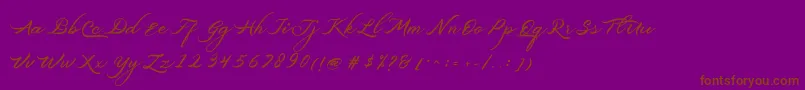 Czcionka Belgiansignature – brązowe czcionki na fioletowym tle
