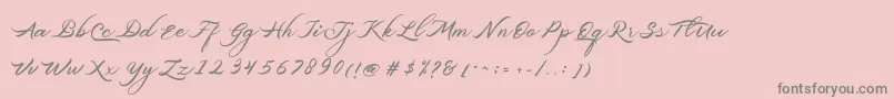 Belgiansignature Font – Gray Fonts on Pink Background