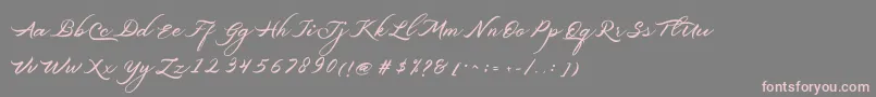 Belgiansignature-Schriftart – Rosa Schriften auf grauem Hintergrund