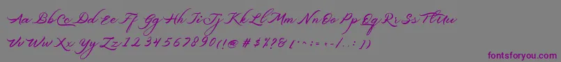 Belgiansignature-Schriftart – Violette Schriften auf grauem Hintergrund