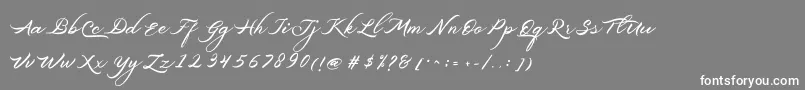 フォントBelgiansignature – 灰色の背景に白い文字