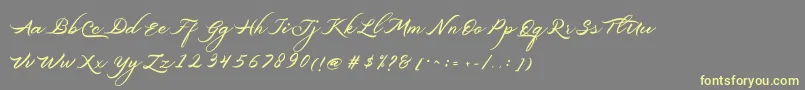 Шрифт Belgiansignature – жёлтые шрифты на сером фоне