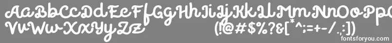 フォントBeliever – 灰色の背景に白い文字