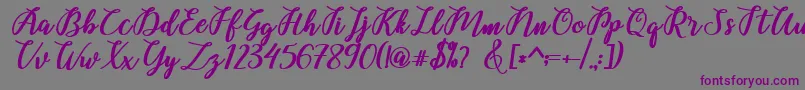 Czcionka Belinda Script – fioletowe czcionki na szarym tle