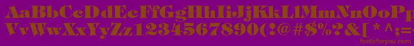 SophisticateBlackSsiExtraBold Font – Brown Fonts on Purple Background