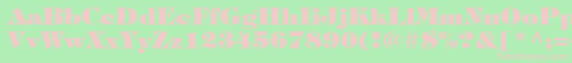 SophisticateBlackSsiExtraBold Font – Pink Fonts on Green Background