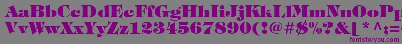 SophisticateBlackSsiExtraBold Font – Purple Fonts on Gray Background