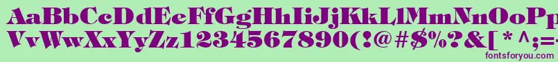 SophisticateBlackSsiExtraBold Font – Purple Fonts on Green Background