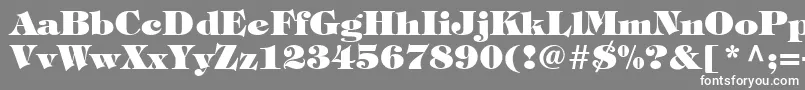 SophisticateBlackSsiExtraBold Font – White Fonts on Gray Background