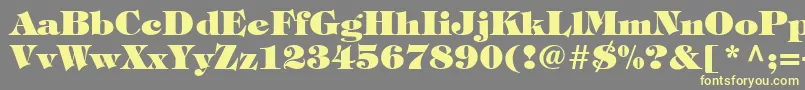 SophisticateBlackSsiExtraBold Font – Yellow Fonts on Gray Background