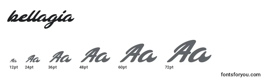 Размеры шрифта Bellagia