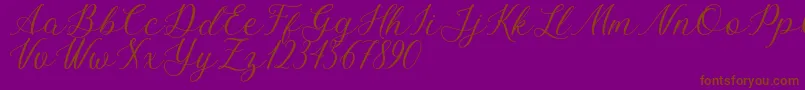 Bellasic Free For Personal Use Font – Brown Fonts on Purple Background