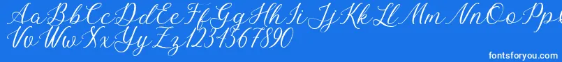 Bellasic Free For Personal Use Font – White Fonts on Blue Background