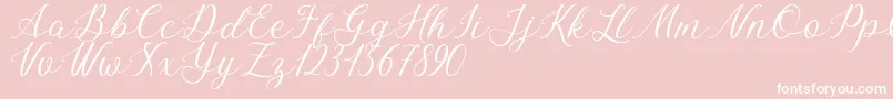 Bellasic Free For Personal Use-Schriftart – Weiße Schriften auf rosa Hintergrund