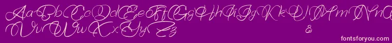 Bellaviesta Font – Pink Fonts on Purple Background