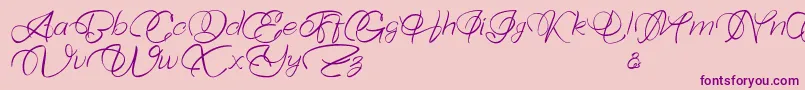 Bellaviesta Font – Purple Fonts on Pink Background