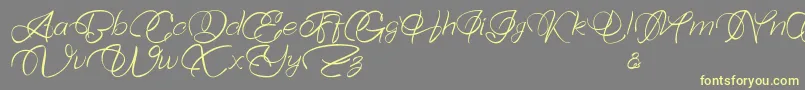 Bellaviesta-Schriftart – Gelbe Schriften auf grauem Hintergrund