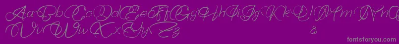 Bellaviesta Font – Gray Fonts on Purple Background
