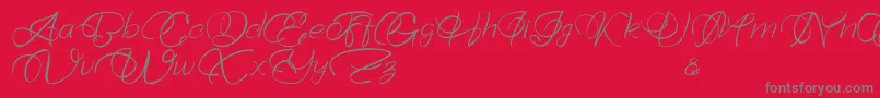 Bellaviesta Font – Gray Fonts on Red Background