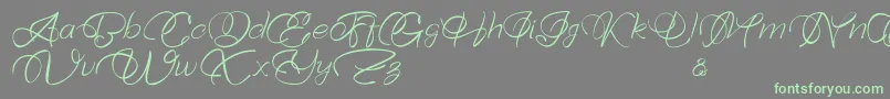 Bellaviesta-Schriftart – Grüne Schriften auf grauem Hintergrund