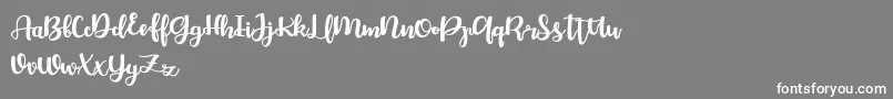 Bellco FREE Font – White Fonts on Gray Background