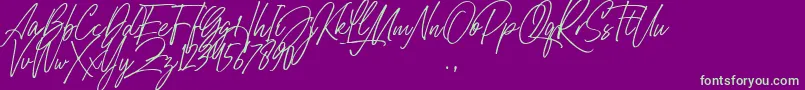 Belle Hamilton Font – Green Fonts on Purple Background