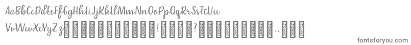 Belle Helene DEMO Script Font – Gray Fonts on White Background