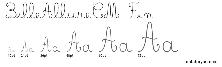 BelleAllureCM Fin Font Sizes