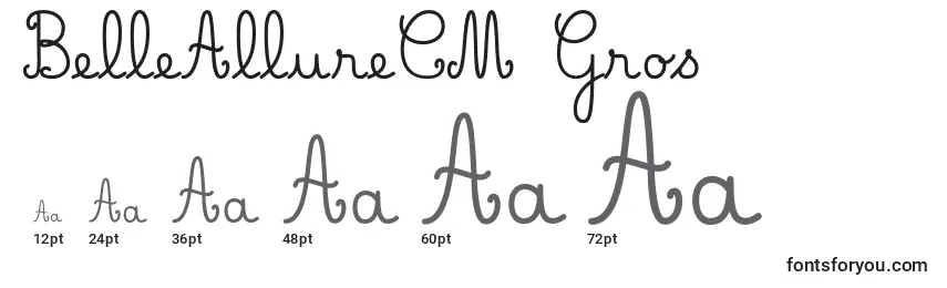 BelleAllureCM Gros Font Sizes
