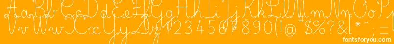 BelleAllureDuctus Fin-Schriftart – Weiße Schriften auf orangefarbenem Hintergrund