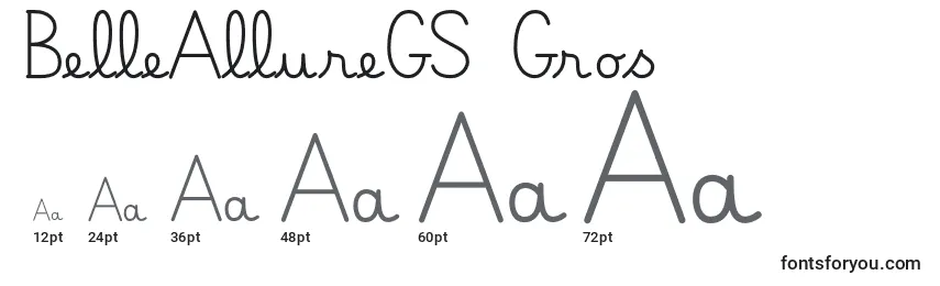 BelleAllureGS Gros Font Sizes