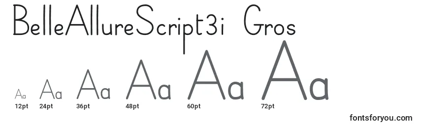 Размеры шрифта BelleAllureScript3i Gros