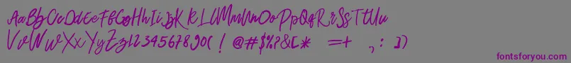 Belley Font – Purple Fonts on Gray Background