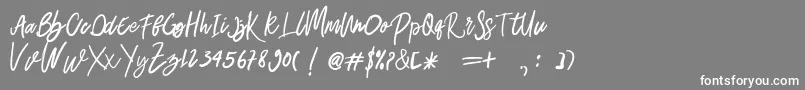 Belley Font – White Fonts on Gray Background