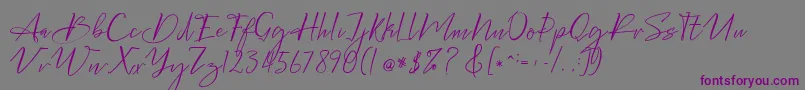 Bellgonate-fontti – violetit fontit harmaalla taustalla