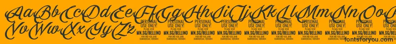 Bellino PERSONAL USE ONLY-Schriftart – Schwarze Schriften auf orangefarbenem Hintergrund