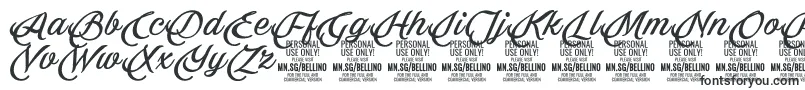 Bellino PERSONAL USE ONLY-fontti – elegantit fontit