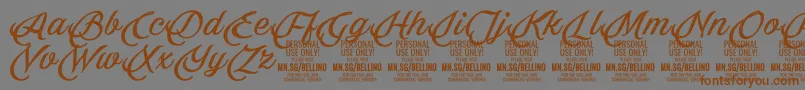 Шрифт Bellino PERSONAL USE ONLY – коричневые шрифты на сером фоне