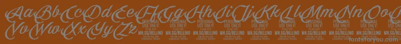 Lisätietoja Bellino PERSONAL USE ONLY-fontista Bellino PERSONAL USE ONLY-fontti – harmaat kirjasimet ruskealla taustalla