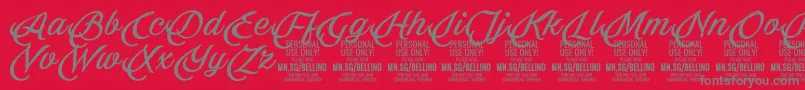 Bellino PERSONAL USE ONLY-Schriftart – Graue Schriften auf rotem Hintergrund