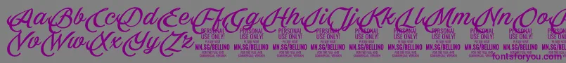 Bellino PERSONAL USE ONLY Font – Purple Fonts on Gray Background