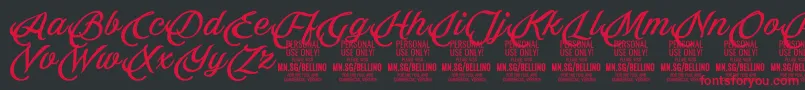 Bellino PERSONAL USE ONLY-Schriftart – Rote Schriften auf schwarzem Hintergrund