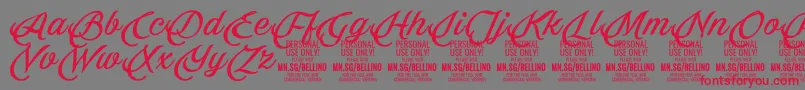 フォントBellino PERSONAL USE ONLY – 赤い文字の灰色の背景