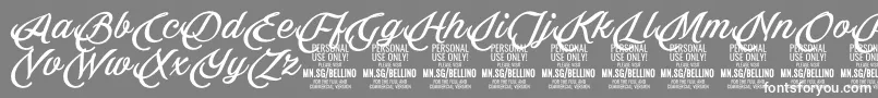 Bellino PERSONAL USE ONLY-Schriftart – Weiße Schriften auf grauem Hintergrund