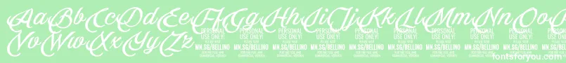 Шрифт Bellino PERSONAL USE ONLY – белые шрифты на зелёном фоне