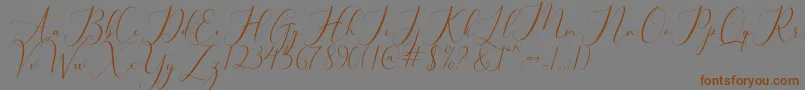 bellisa Font – Brown Fonts on Gray Background