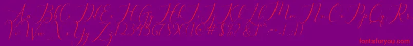 bellisa Font – Red Fonts on Purple Background