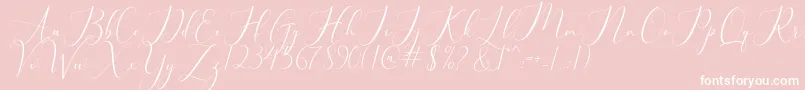 bellisa Font – White Fonts on Pink Background