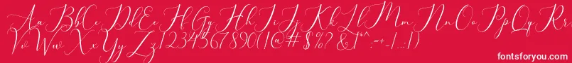 bellisa Font – White Fonts on Red Background